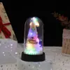 Enfeites de Árvore de Natal de Mesa Personalizados, Luzes Noturnas Luminosas, Coberturas Decorativas de Vidro, Presentes de Natal, Feitos à Mão de Alta Simulação