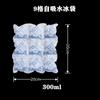 Bolsas de Hielo Autoabsorbentes Sin Agua para Conservación de Mariscos y Frutas, Refrigeración y Entrega Express; Bolsas de Hielo Congelado Reutilizables para Transporte Aéreo