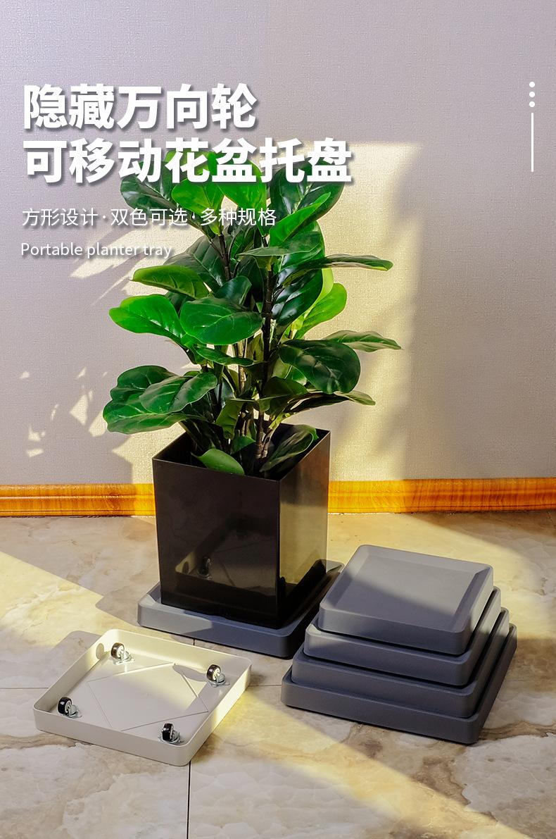 详情_01