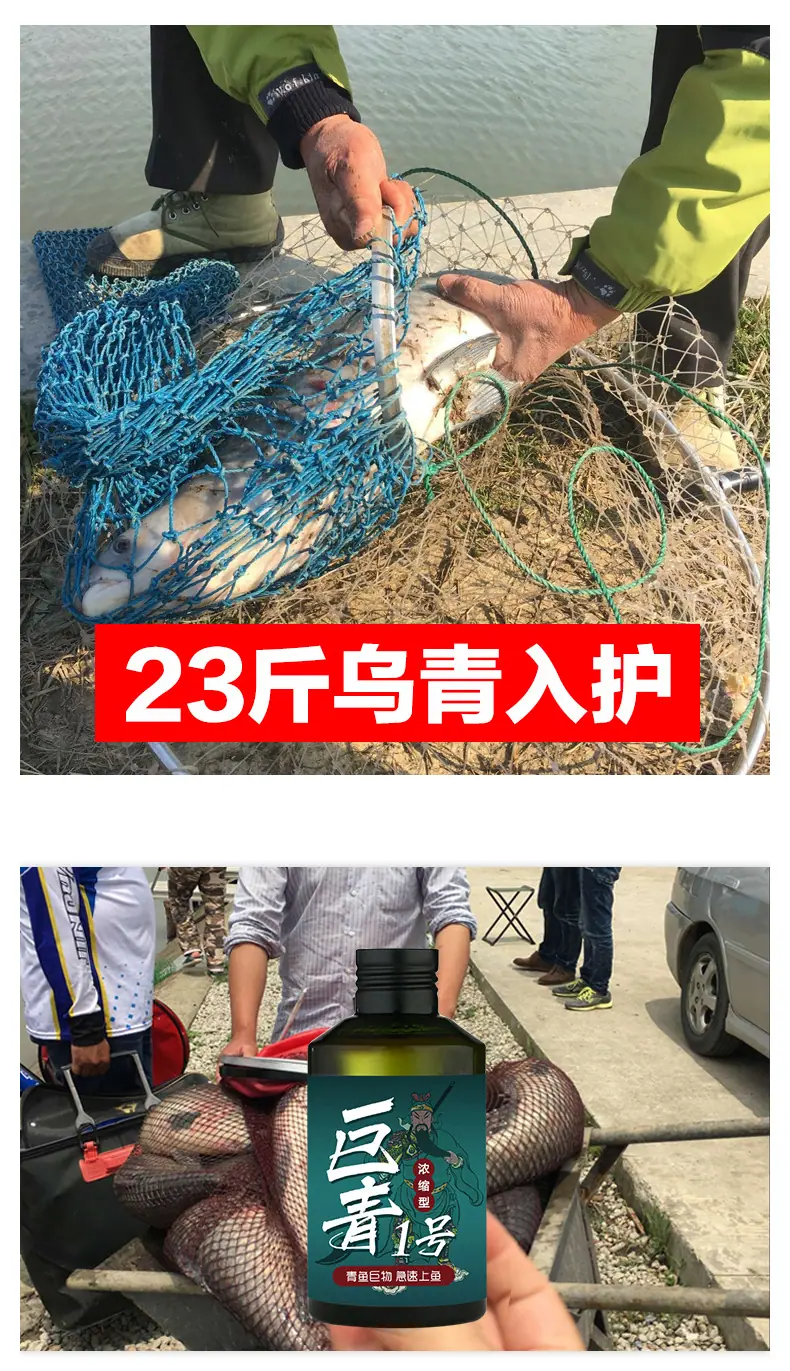 巨青一号_06.jpg?x-oss-process=image/format,png