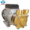 Bomba Centrífuga Speck Y-4281 Resistente a Altas Temperaturas Máquina de Temperatura de Molde Circulação de Água Quente Estágio Único Óleo Térmico Bomba Elétrica de Impulso