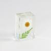 Nuevo creativo plástico flor seca libro pueblo manualidades espécimen de flor real resina micro paisaje decoración decoración lugar escénico caliente