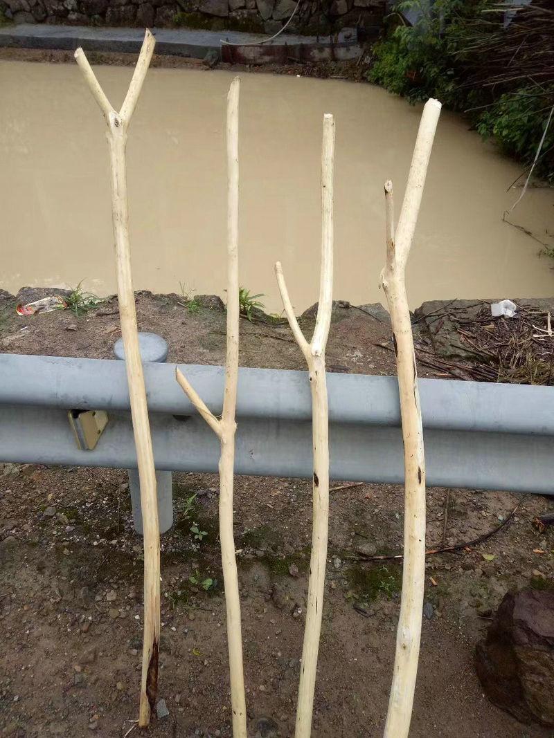 8dafc7d92c97e6a7daf59bfde9dd2d