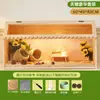 Caja de Cría para Hámsteres y Codornices Mascota Paisajismo Juego Completo de Incubadora para Polluelos Jaula para Pollos Jaula para Codornices Casera