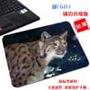 [Una generación de cabello] pequeño lindo gato tela antideslizante tapete para computadora arte estético simple borde bloqueado alfombrilla de ratón