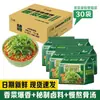 Elefante Blanco Fideos de Cilantro Fideos Instantáneos Caja al por Mayor para Gente Perezosa, Comida Rápida para Dormitorio, Hojas de Fideos Verdes, Fideos de Sopa de Verduras en Bolsas