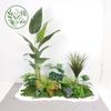 Paisajismo de Plantas Verdes Paisajismo de Balcones Decoración de Plantas Artificiales para Interiores y Exteriores Planta Viajera Plátano Espalda de Tortuga Planta Debajo de las Escaleras Paisajismo