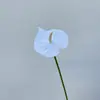 Flores, Buquês de Casamento Florais, Flores de Arco, Flores Brancas, Decorações de Casamento, Enfeites de Flores Artificiais, Adereços, Flores de Plástico