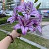 Nuevos fabricantes de flores artificiales 3D 6 cabezas tacto grande Lirio Verde Lirio Perfumado boda flores falsas suaves al por mayor