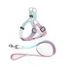 Conjunto de coleira e arreio de nylon bicolor para animais de estimação, direto da fábrica, com fivela de LED para passear com o cachorro
