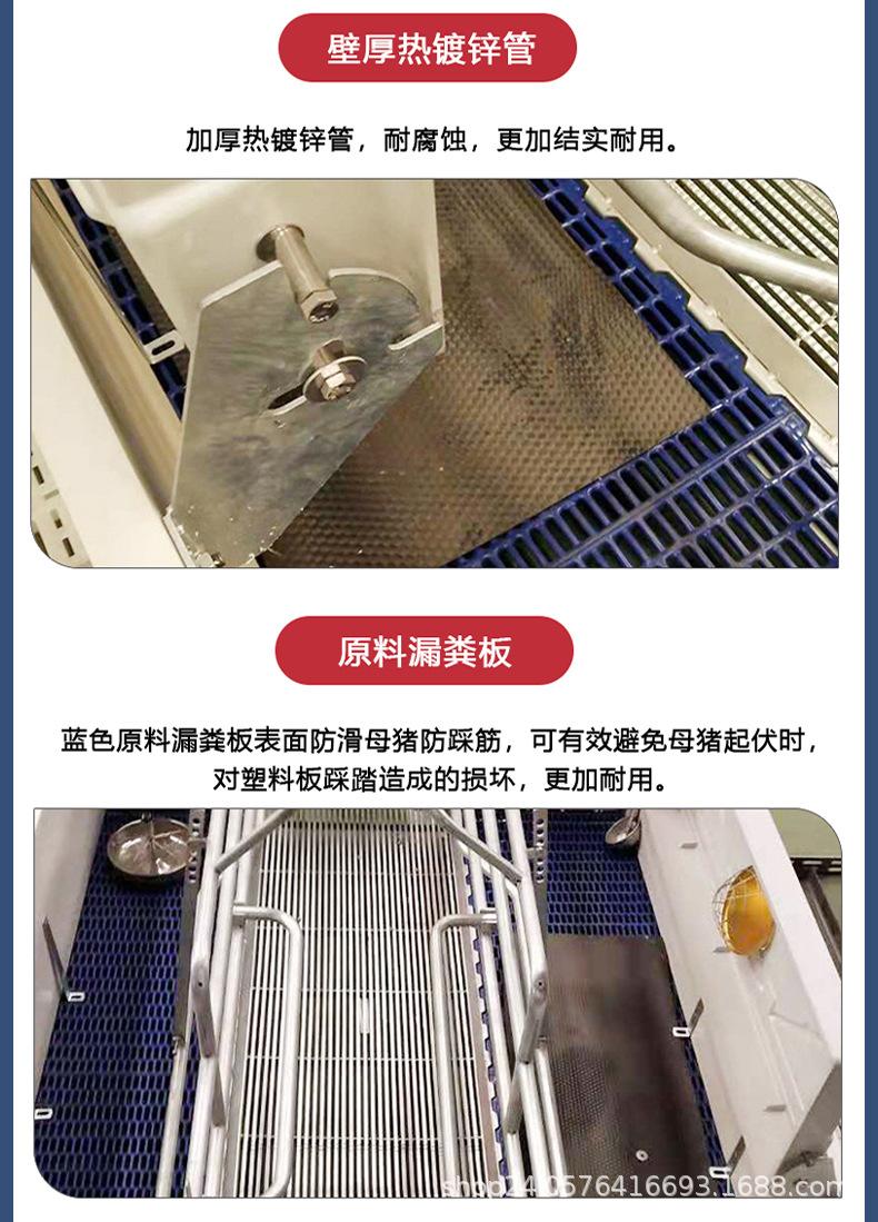 欧式母猪产床-详情_03.jpg