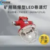 Iluminación Fija de Cavidad LED Antiexplosiva para Túneles Dgs181/27L Iluminación LED Antiexplosiva para Túneles de Minería
