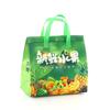 Fabricante Venta al por mayor Bolsa de Aislamiento Frío de Papel de Aluminio No Tejido Bolsa de Embalaje para Tienda de Frutas Bolsa para Frutas Laminada Bolsa de Embalaje para Durian