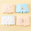 Nuevos Calzones tipo Boxer para Niña con Estampado de Flores de Algodón Cómodos Transpirables Ropa Interior Infantil Calzones tipo Boxer para Niña Set Personalizado