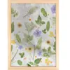 Material de Frottage para Jardín de Infancia Paño para Frottage de Plantas Juego de Herramientas para Niños Camiseta diy Agente Fijador Color Aluminio Material
