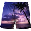Pantalones casuales estilo hawaiano creativos con estampado digital 3D, pantalones de ocio para resort y playa, comercio exterior de Amazon 2024, nuevos