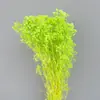 Arranjo de Flores para Decoração de Casa, Estilo Fresco e Natural, Flores Preservadas, Buquê Sonhador de Gipsofila Estrelada Atacado