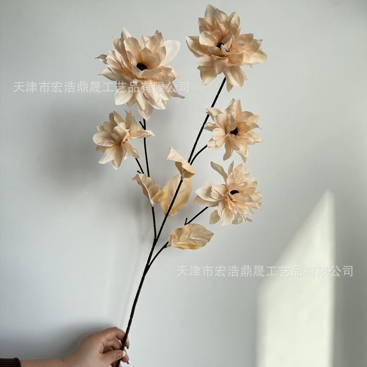 微信图片_202303151643025_副本