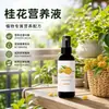 [Fácil de Usar] Solución Nutritiva Especial para Árboles de Osmanthus para Tratar Puntas Secas y Quemadas, Hojas Amarillas y Promover la Floración - Fertilizante Específico para Osmanthus