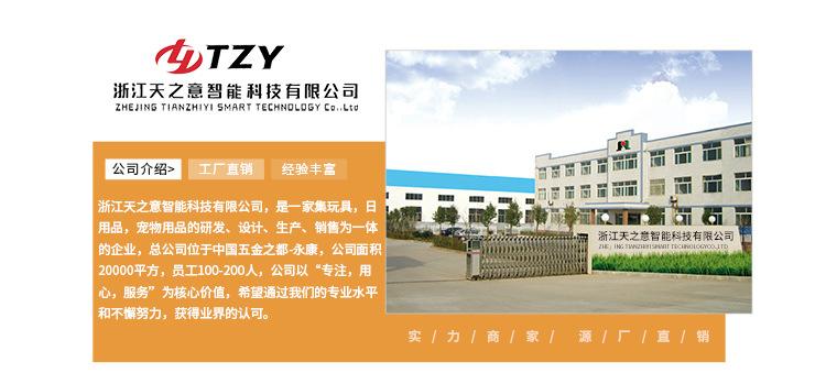 E-_儿童滑板车首页_电脑端_儿童车首页手机_03