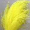 Grama Barba de Dragão Flor Eterna Flor Seca Real Sonho de Yunnan Decoração Macia Fogos de Artifício Materiais de Arte Grama de Cabelo Longo Decoração de Casamento