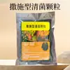 Grânulos de Tipo Borrifador para Matar Bactérias Melhoram o Enraizamento do Solo, Fortalecem Mudas, Previnem Doenças e São Adequados para Melões, Frutas, Vegetais e Culturas de Campo
