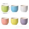 Vaso de Cerâmica Suculenta Conjunto Macaron Planta Cacto Em Vasos Decoração de Mesa Fabricante de Vasos Atacado Estilo de Mesa