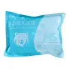 Bolsa de Gelo Descartável para Entrega Expressa, Comercial de Loja de Sobremesas, Bolsa de Gelo para Conservação de Frutos do Mar e Frutas Frescas, Bolsa de Gelo Autoabsorvente