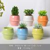 Vaso de flores de cerâmica desenho animado fofo macaroon planta carnuda vaso pequeno Amazon Home Gardening Cactus Pot terno