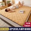 Gente del Polo Sur Usa Tatami Engrosado Dormitorio Individual Estudiante Colchoneta de Esponja Colchoneta de Cama Colchoneta de Ropa de Cama Especial para Vivienda de Alquiler