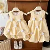 Conjunto de Vestido de Verão para Meninas, Sem Mangas, Design de Pato 3D, Vestido Princesa Fofo e Estiloso para Crianças Pequenas, Conjunto de Duas Peças
