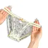 Bragas de Encaje de Malla Frescas y Dulces Estilo Japonés para Mujer, Transparentes de Tiro Bajo Sexy Algodón Puro en la Entrepierna Calzones para Chica Joven