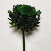 Alcachofra imortal flor de neve flores secas voz de chocalho ao vivo com flores secas flores imperiais flores secas de Yunnan alcachofra em estoque atacado
