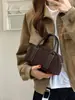 Nuevo Diseño Retro de Nicho Otoño/Invierno 2026 Bolso Boston de Gamuza Almohada Bolso de Hombro Cruzado de Moda
