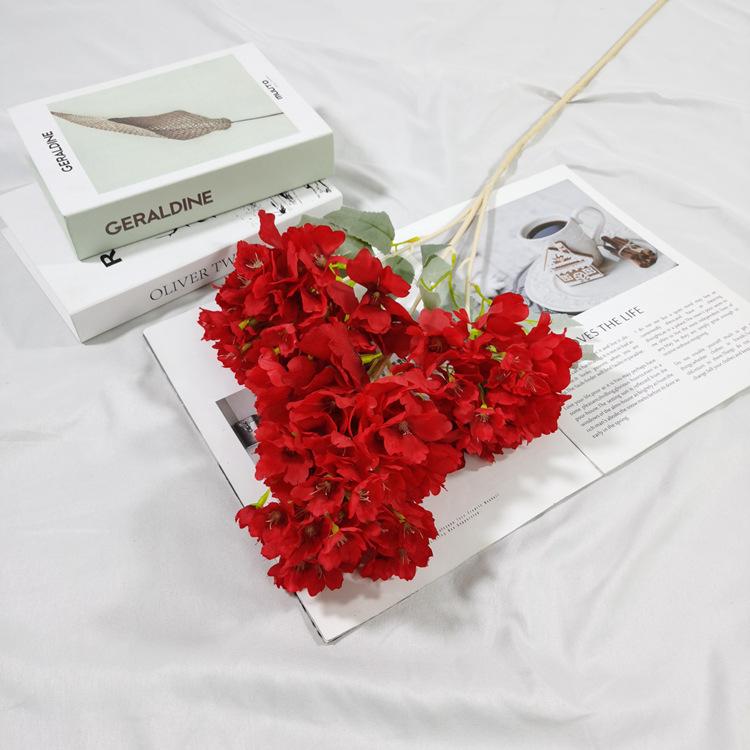 IMG_20220224_152427_副本