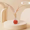 Brinquedo para Pet Bola de Pena Elástica para Provocar Gatos, Diversão para Dentição com Bola Elástica de Pena Esférica, Artefato para Auto-Prazer e Alívio do Tédio de Pets, Pulo Automático