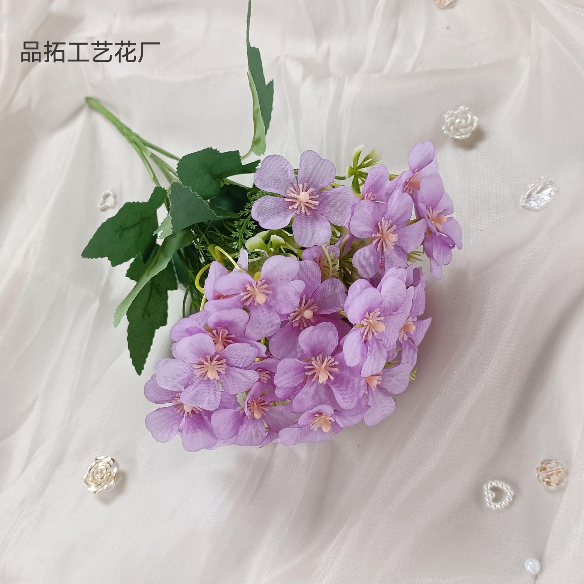 d711a517054e96a1ed787472aba8b4