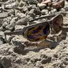 Gafas de Sol Polarizadas Retro para Hombre, Pesca y Ciclismo, Gafas Anti-UV, Deportes al Aire Libre, Viajes, Montañismo, Gafas a Prueba de Viento