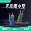 Fqw20-50/W Bomba Sumergible Neumática para Minería Bomba Sumergible de Turbina Neumática Resistente a la Corrosión Bomba Sumergible Neumática para Minería