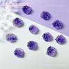 Alta - série de lua roxa estrela manicure material pacote luminoso borboleta manicure pequenas jóias decorações de unhas misturadas