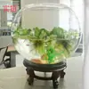 Tanque de Peces Esférico Engrosado Extra Grande, Tanque de Peces Ecológico Redondo Transparente, Tanque de Vidrio de Escritorio, Tanque de Peces Grande para Sala de Estar