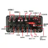 Fábrica Especializada en Suministro de Placa Amplificadora de Audio para Coche de 12V con Pantalla que se Puede Conectar a la Batería y Recargar, Amplificador Módulo Bluetooth para Karaoke en Casa