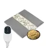 Terciopelo para el Hogar Calefacción Eléctrica Moxa Cojín de Terciopelo Artemisa Pura Moxibustión Cojín de Compresa Caliente Cojín para Sofá Calentador de Moxibustión Almohadilla Caliente Personalización