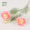 Flor de peonía Loulian simulación 3 cabezas flocado flor artificial decoración avanzada para mesa de sala de estar hogar venta al por mayor de fábrica