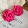 Pendientes Colgantes Tejidos de Rafia Estilo Resort, Pendientes de Diseño de Moda Retro, Pendientes de Gama Alta de Nicho al por Mayor
