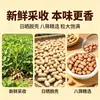Nuevo Producto Cacahuetes Arena Blanca Cacahuetes de Granja Cacahuetes de Grano Grande Cacahuetes Fritos en Aceite de Frijol Botana Fría para Beber Cacahuetes Secos a Granel