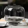 Estilo Ins Vaso de Vidro Barrigudo Arranjo de Flores de Alto Padrão Vaso Hidropônico Criativo Utensílios de Vidro Ornamentos Decorativos