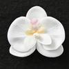 Materiais de Embalagem para Buquês Jemi, Suprimentos para Floristas, Embalagem Floral, Spray Corante à Base de Água, Tinta Spray, Spray para Flores