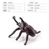 Simulación sólida Araña Naruto ciempiés modelo de insecto juguete para niños mariposa abeja animal decoración bandeja de arena