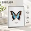 Marco de Fotos de Borde Estrecho de Aleación de Aluminio Marco de Metal Negro Marco de Fotos con Espécimen de Mariposa Montado Marco de Fotos Rompecabezas Marco de Fotos Decorativo Envío Directo de Fábrica